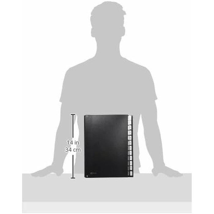 Pardo Carpeta clasificadora fuelle pardo carton compacto folio 24 departamentos visor doble personalizables negro