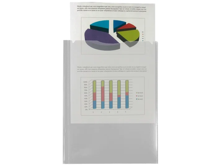 Liderpapel Carpeta Dossier con 2 Bolsas Canguro 45684 Polipropileno DIN A4 Transparente