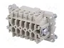 WIELAND Conector HDC Macho de 10 Pines para Panel