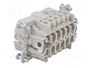WIELAND Conector HDC Macho de 10 Pines para Panel