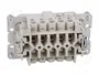 WIELAND Conector HDC Macho de 10 Pines para Panel