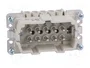 WIELAND Conector HDC Macho de 10 Pines para Panel