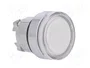SCHNEIDER ELECTRIC Interruptor de presión ZBV6 transparente 22mm