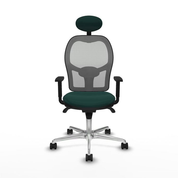 PIQUERAS Y CRESPO Silla de oficina Jorquera con mecanismo Sincro, Verde botella y Gris PIQUERAS Y CRESPO Silla de oficina Jorquera con mecanismo Sincro, Verde botella y Gris