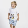 Cerdá Pijama Corto Single Jersey Bluey 6 Años