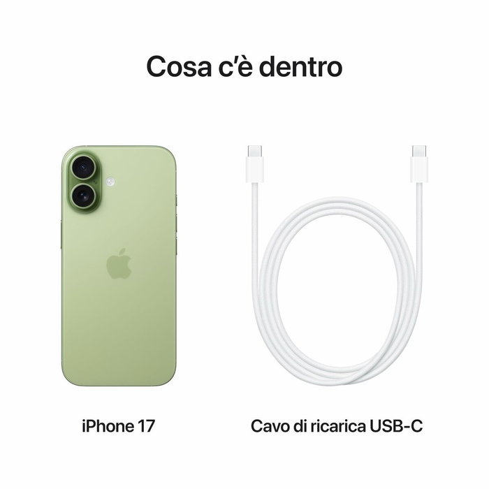 Smartphone Apple iPhone 17 6,3" Hexa Core 8 GB RAM 256 GB Verde Smartphone Apple iPhone 17 6,3" Hexa Core 8 GB RAM 256 GB Verde