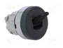SCHNEIDER ELECTRIC Interruptor de palanca Harmony XB4 22mm negro