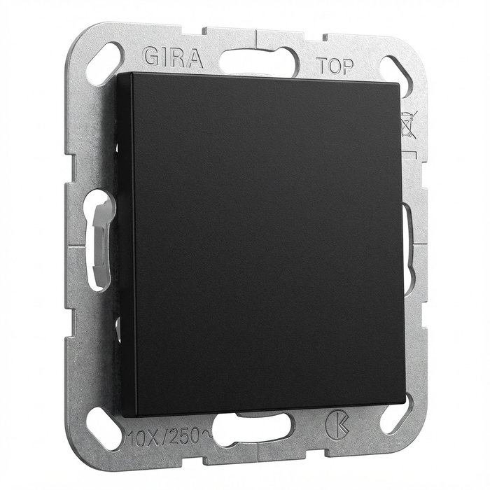GIRA 0268005 Sistema de anillo de tracción System 55 Negro GIRA 0268005 Sistema de anillo de tracción System 55 Negro
