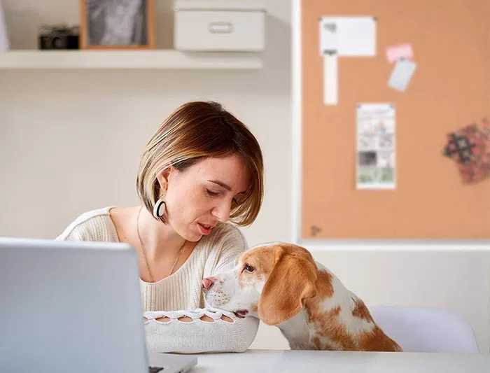 Q-connect Pizarra Corcho 60x45 cm con Marco de Aluminio Q-connect Pizarra Corcho 60x45 cm con Marco de Aluminio