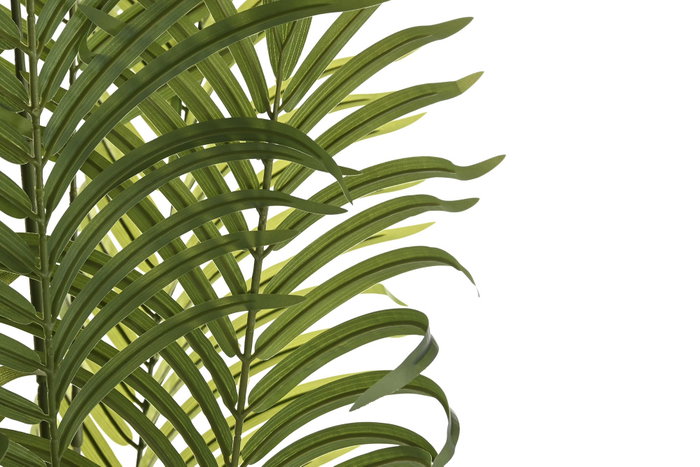 DKD Home Decor Planta Areca Verde 100x100x240 cm