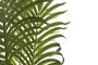 DKD Home Decor Planta Areca Verde 100x100x240 cm