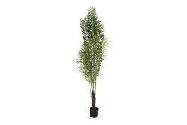 DKD Home Decor Palmera Verde de Poliéster y PP (100x100x240 cm) inevitable