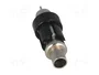 4CARMEDIA Conector de antena RAST II macho recto para cable RG174