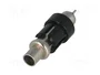 4CARMEDIA Conector de antena RAST II macho recto para cable RG174