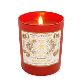 Santa Maria Novella Vela aromática Melograno 250 g