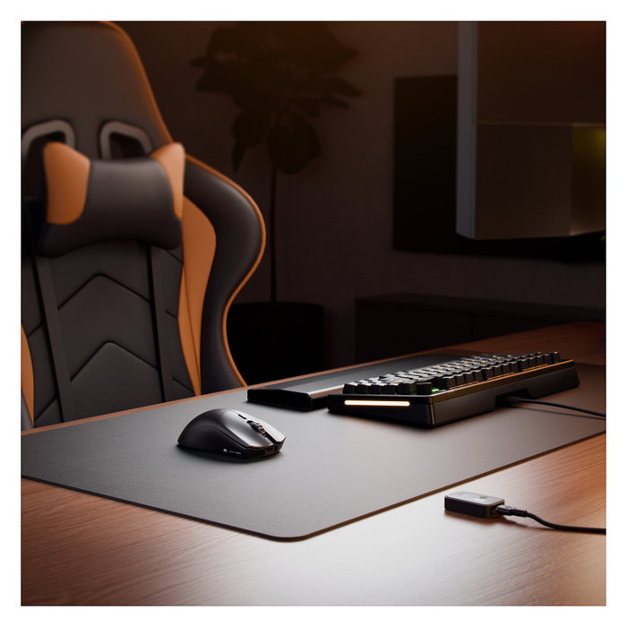 Glorious Series 2 PRO Wireless Gaming Maus - schwarz