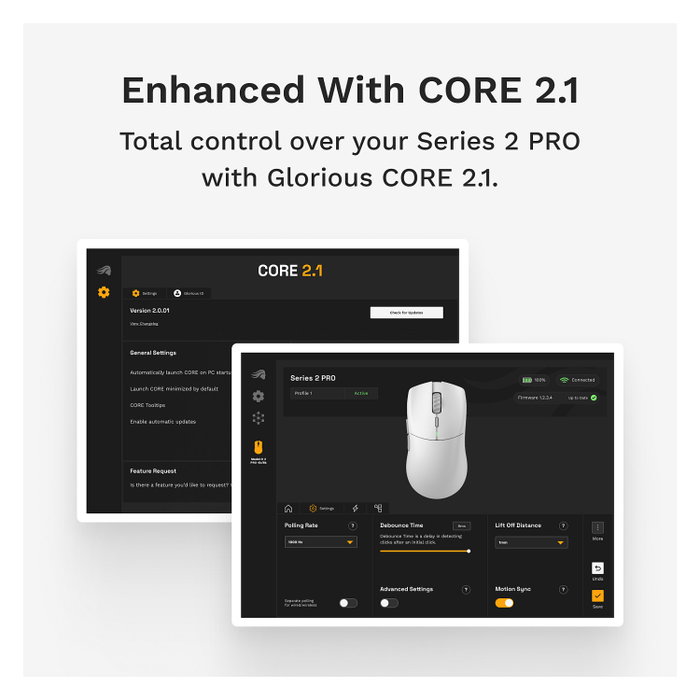 Glorious Series 2 PRO Wireless Gaming Maus - schwarz