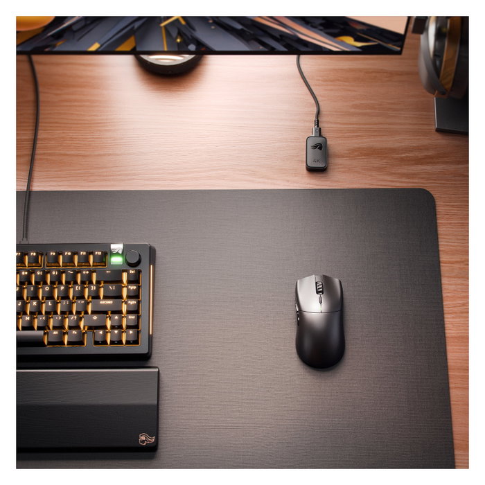 Glorious Series 2 PRO Wireless Gaming Maus - schwarz
