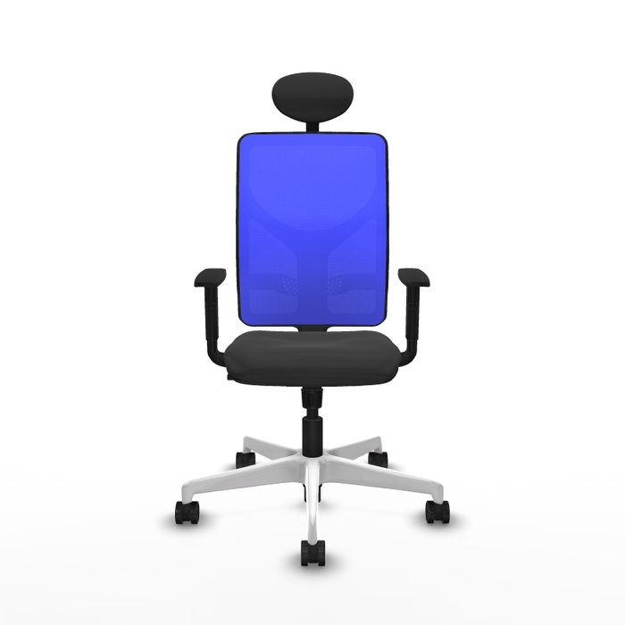 PIQUERAS Y CRESPO Silla de oficina Motilla con mecanismo Sincro, Gris oscuro y Azul PIQUERAS Y CRESPO Silla de oficina Motilla con mecanismo Sincro, Gris oscuro y Azul