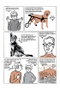 El Gran Libro de Los Perros