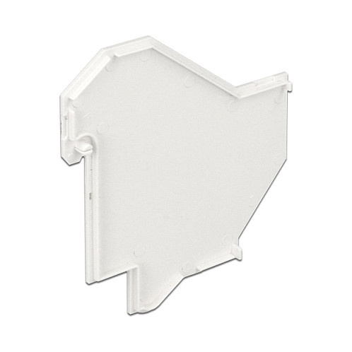 DeLOCK 86272 Cubierta para soporte Keystone en carril DIN Blanco