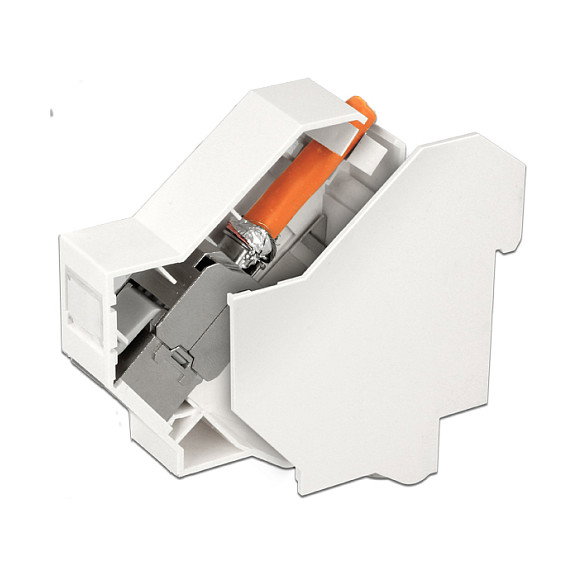 DeLOCK 86272 Cubierta para soporte Keystone en carril DIN Blanco