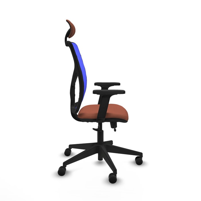 PIQUERAS Y CRESPO Silla de oficina Motilla con mecanismo Sincro/Traslack Marrón y Azul