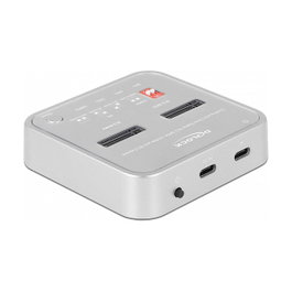DeLOCK 64138 Docking Station para SSD M.2 y SD Express
