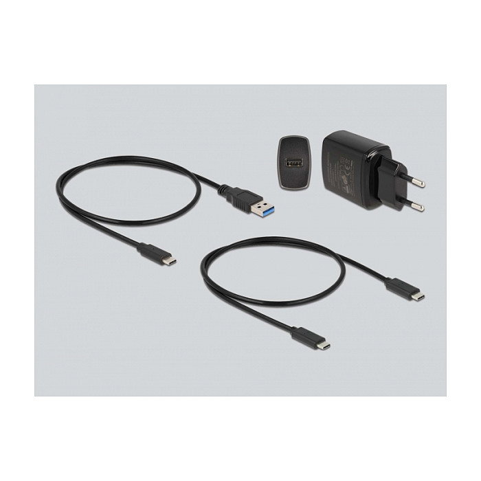DeLOCK 64138 Docking Station para SSD M.2 y SD Express DeLOCK 64138 Docking Station para SSD M.2 y SD Express