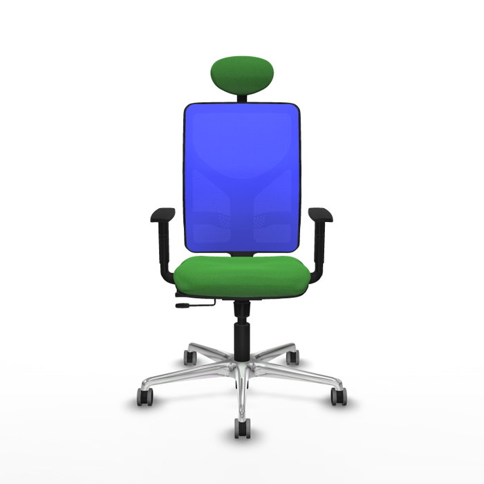 PIQUERAS Y CRESPO Silla de oficina Motilla con mecanismo Sincro/Traslack, Verde y Azul PIQUERAS Y CRESPO Silla de oficina Motilla con mecanismo Sincro/Traslack, Verde y Azul