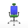 PIQUERAS Y CRESPO Silla de oficina Motilla con mecanismo Sincro/Traslack, Verde y Azul