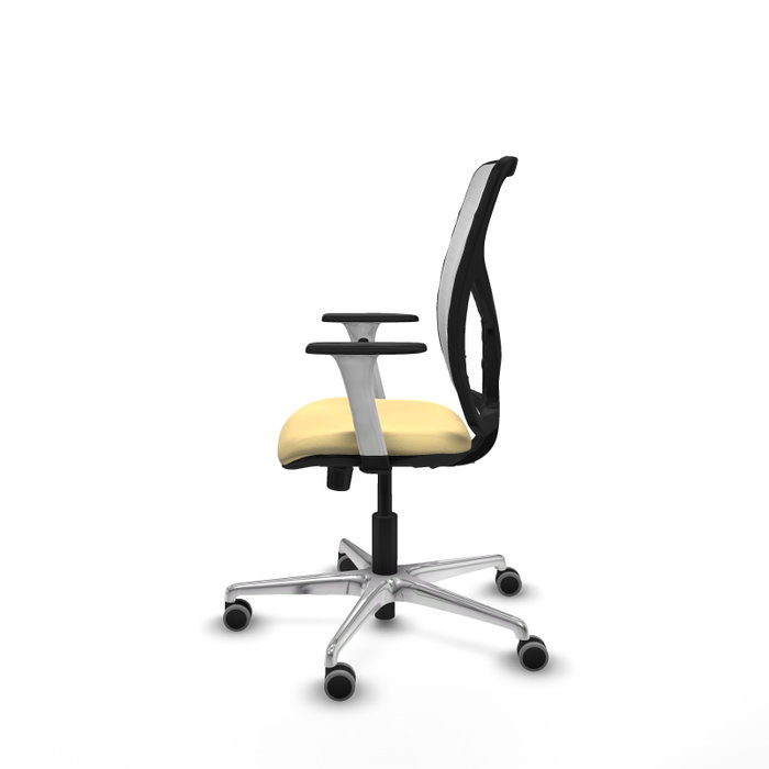 PIQUERAS Y CRESPO Silla de oficina Motilla con mecanismo Sincro, Crema y Blanco PIQUERAS Y CRESPO Silla de oficina Motilla con mecanismo Sincro, Crema y Blanco