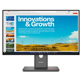 Lenovo ThinkVision P24QD-40 Monitor LED 24 Pulgadas (60.96 cm) WQHD (2560 x 1440) IPS 60 Hz, Referencia 64B1GAT1EU, Negro