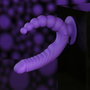 Vibrador anal Evolved