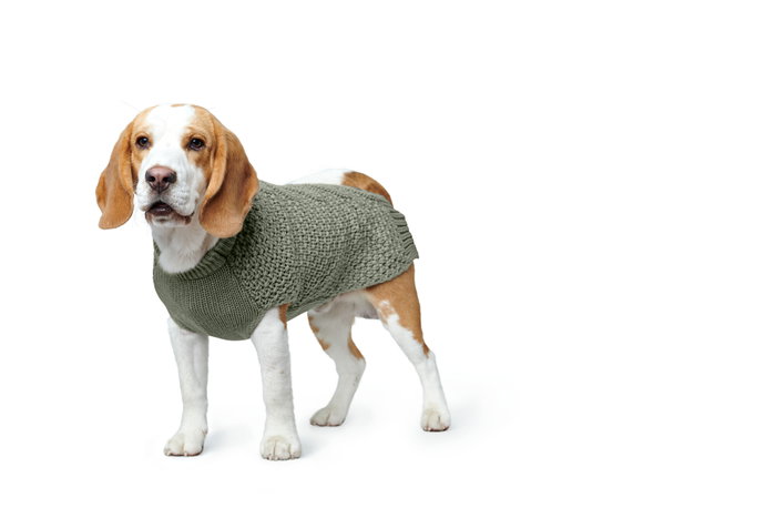 Hunter Dog Pullover Malmö 30cm Verde Hunter Dog Pullover Malmö 30cm Verde