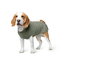 Hunter Dog Pullover Malmö 30cm Verde