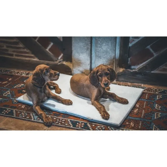 Aime Cama para Perros Colchoneta Plana Tamaño L 80x60x3 cm AIM3281018303285