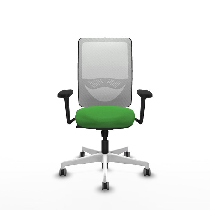 PIQUERAS Y CRESPO Silla de oficina Zulema con mecanismo Sincro, Verde y Blanco PIQUERAS Y CRESPO Silla de oficina Zulema con mecanismo Sincro, Verde y Blanco
