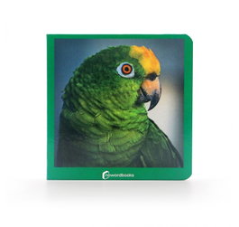 NOWORDBOOKS SCP, VERDE (LIBROS DE FOTOGRAFIA)