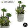 IBERGARDEN Planta Artificial Flores Maceta Cemento Pequeña Plástico Cerámica Corcho Gris Verde Morado 11 cm x 25 cm x 10 cm (Set de 12)