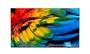 Philips 58HFL6214U/12 Televisor 58 pulg. 4K Ultra HD LED Antracita