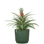 Garden ID Maceta redonda Lino Ø 25 cm H 22 cm 7 Litros Color Verde Oscuro 1612814