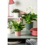 Garden ID Maceta redonda Lino Ø 25 cm H 22 cm 7 Litros Color Verde Oscuro 1612814