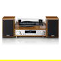 Lenco MC-160WD Holz Altavoz Bluetooth Portátil con Radio FM y Soporte para Madera, Resistente a las Salpicaduras