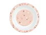 Safta Set de platos cubiertos y vaso safta preescolar 260x260x90 mm