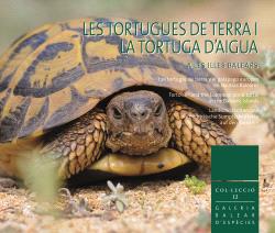 Les tortugues de terra i la tortuga d'aigua a les Illes Balears, Lucia Latorre - ENSIOLA EDITORIAL