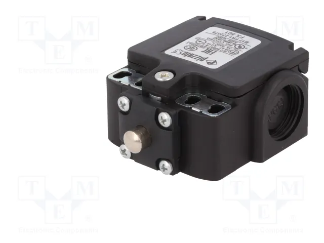 PIZZATO ELETTRICA Interruptor de fin de carrera FX 501 con espárrago de Ø8mm