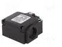 PIZZATO ELETTRICA Interruptor de fin de carrera FX 501 con espárrago de Ø8mm