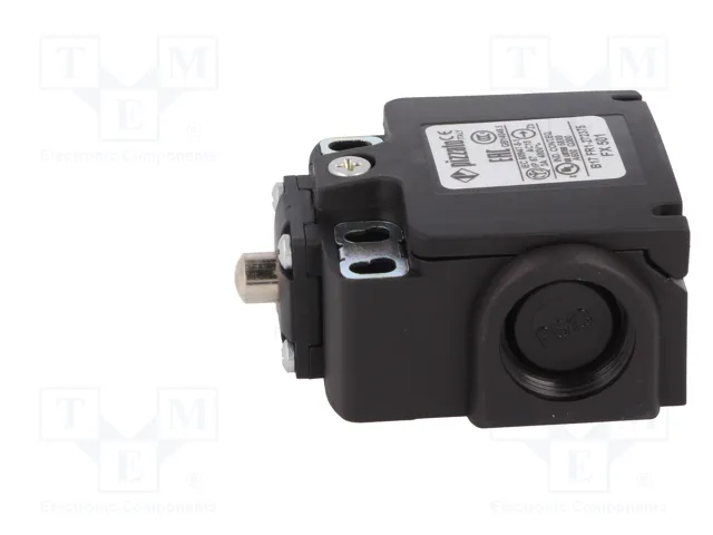 PIZZATO ELETTRICA Interruptor de fin de carrera FX 501 con espárrago de Ø8mm