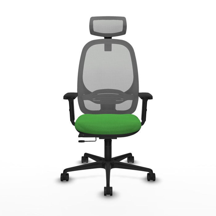 PIQUERAS Y CRESPO Silla de oficina Cilanco con mecanismo Sincro/Traslack, Verde y Gris